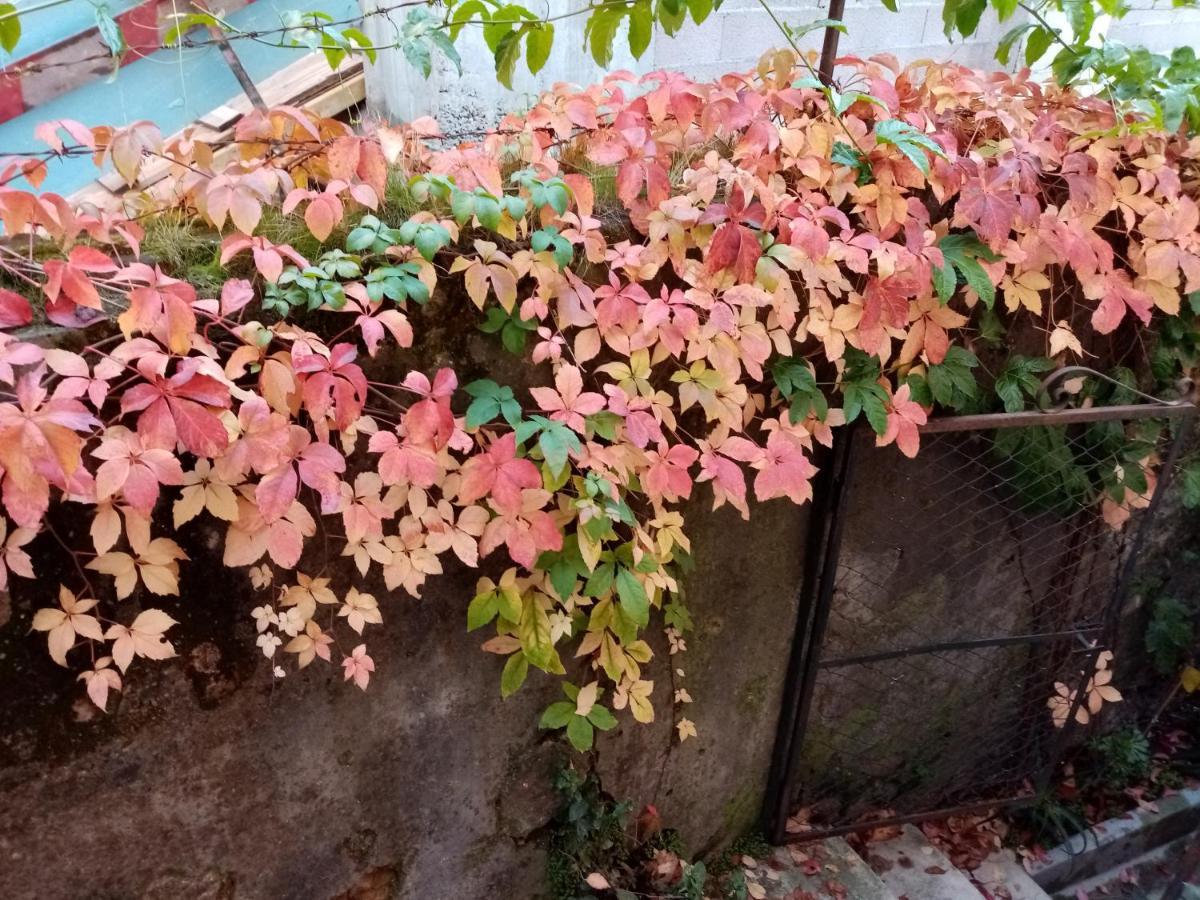 Casa Da Judiaria Velha Hotel Viseu Bagian luar foto