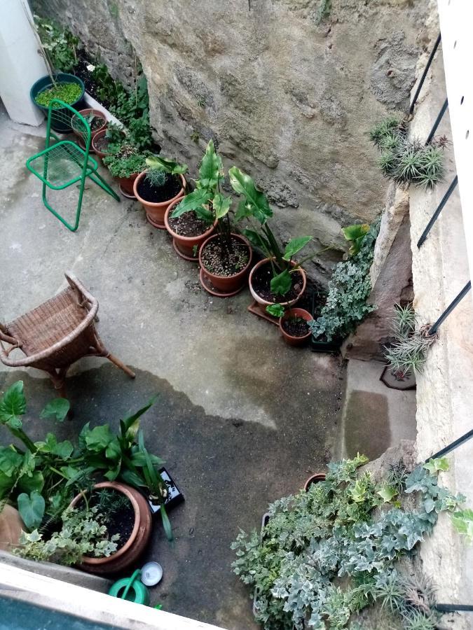 Casa Da Judiaria Velha Hotel Viseu Bagian luar foto