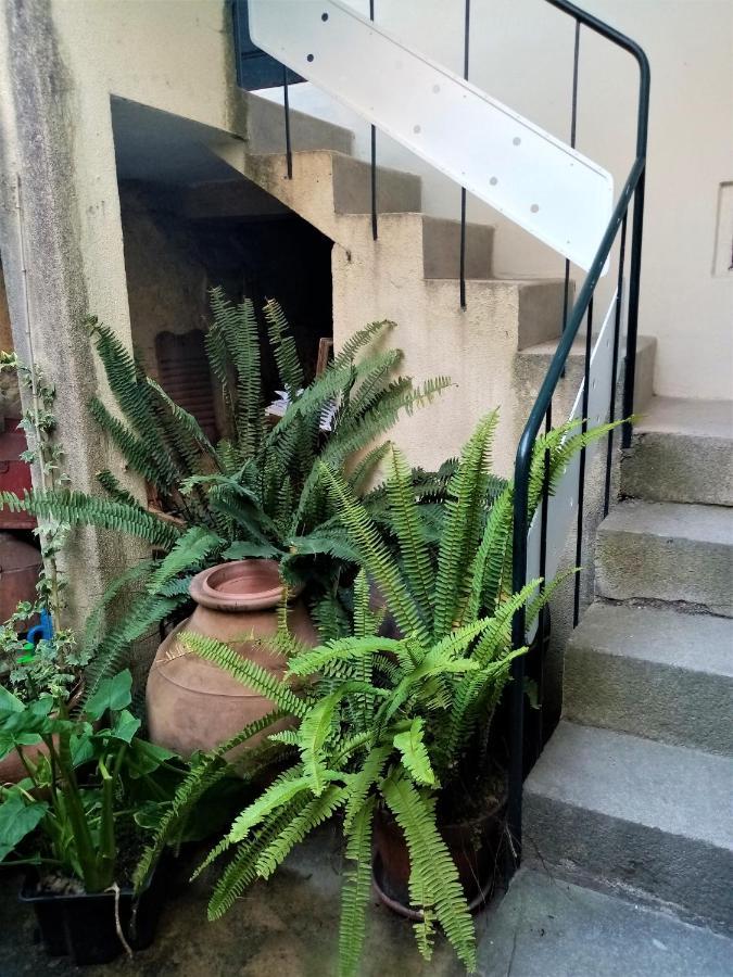 Casa Da Judiaria Velha Hotel Viseu Bagian luar foto