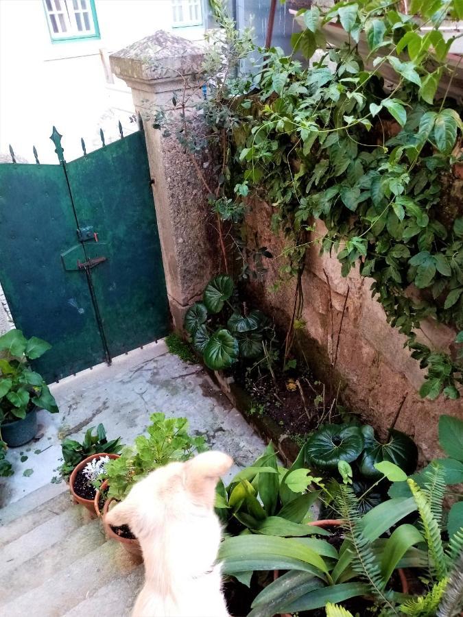Casa Da Judiaria Velha Hotel Viseu Bagian luar foto