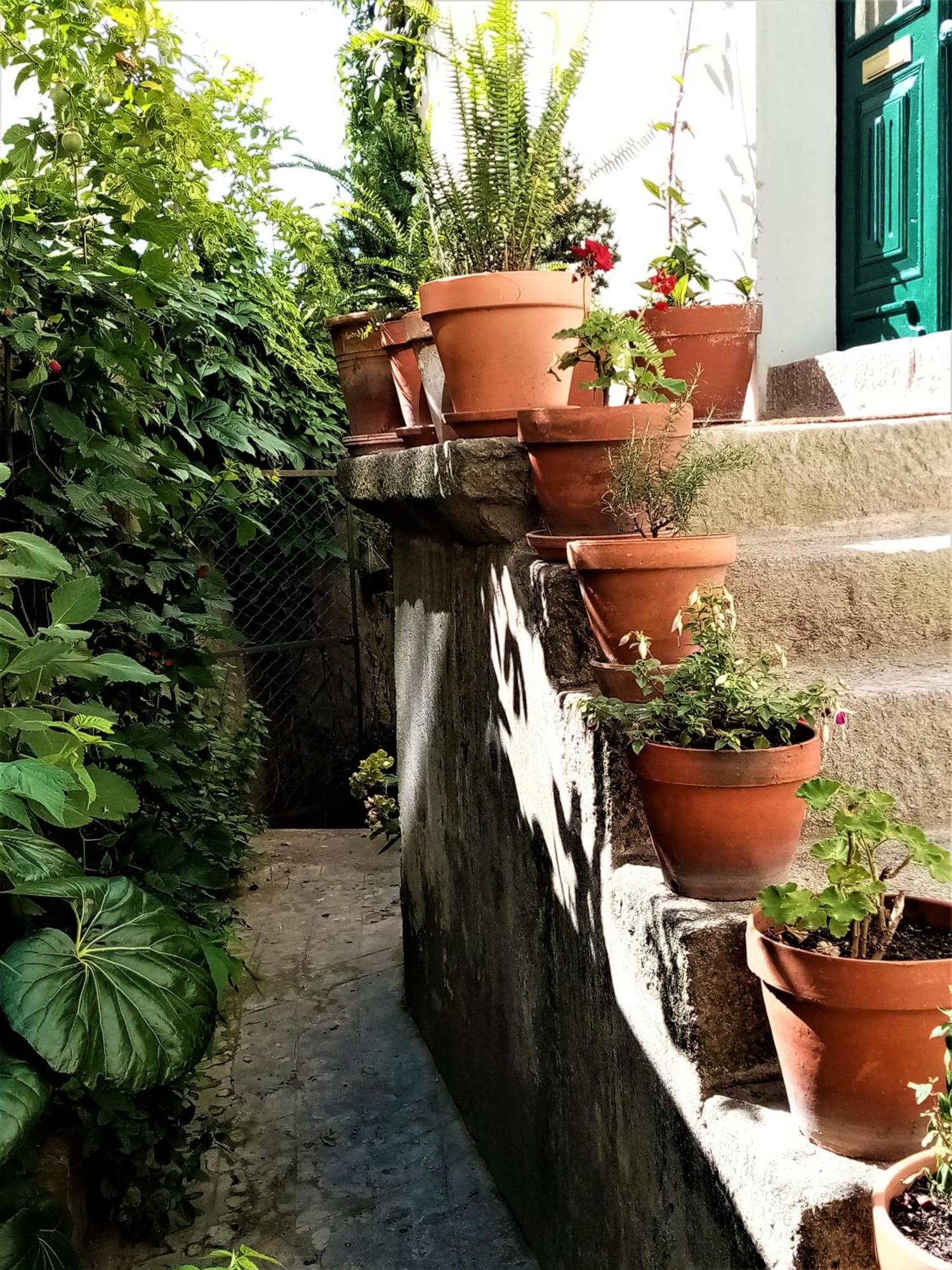 Casa Da Judiaria Velha Hotel Viseu Bagian luar foto